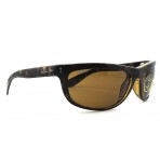 Ray Ban RB 4089 occhiali da sole