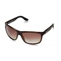 Carrera 8001 Sunglasses men Col. brown